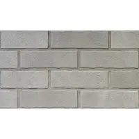 Klinker Klinker fasádny pásik bielosivá 7,1x24 cm AARHUSWG