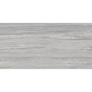 Dlažba Rako Alba sivá 30x60 cm mat DARSE733.1