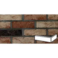 Roh Fasádny Klinker mix 6,5x21,5x10 cm RBAROK83