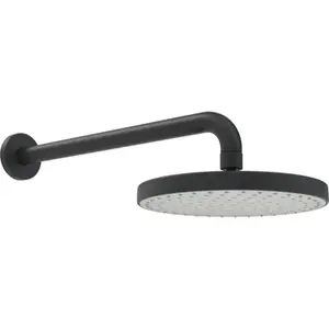 Hansa Basicjet hlavová sprcha , na stenu čierná 4436010033