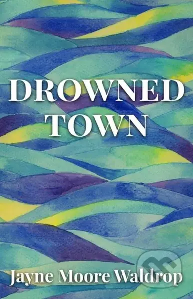 Drowned Town - Jayne Moore Waldrop - kniha z kategorie Společenská beletrie