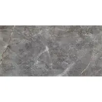 Visine Grey Gloss 59,8/119,8