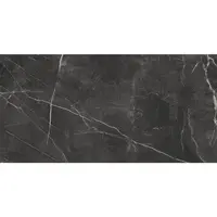 Dlažba Ambrosio graphite 59,7/119,7 REKT.