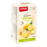 Apotheke Intense Citron a zázvor porcovaný čaj 20x2,5 g