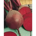 GardenSeed Premium Výsevný pásik Repa šalátová Bona