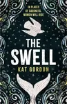 The Swell (An utterly captivating and atmospheric dual-timeline mystery, set in Iceland)