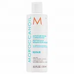 Moroccanoil Repair Moisture Repair Conditioner kondicionér pro suché a poškozené vlasy 250 ml