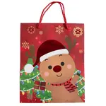 Dárková taškay 23x18 cm mix 47217