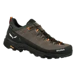 Salewa SALEWA Alp trainer 2 GTX EU 46, Bungee Cord/Black Pánské trekové boty
