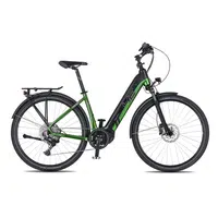 Trekingové elektrokolo 4EVER Comfort Elite 720Wh 28" - model 2025 L (18", 165-180 cm) snake green/black