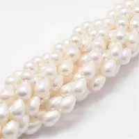 Rainbow Plated Shell Pearl Beads Strands