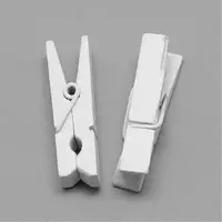 Dyed Wooden Craft Pegs Clips