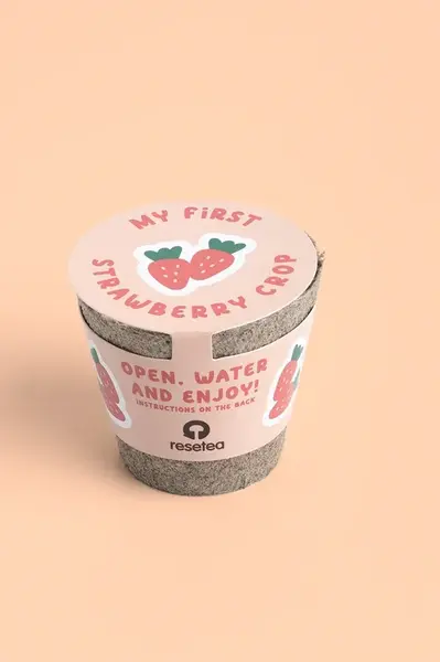 Sada na pěstování rostlin RESETEA My First Strawberry 6,3 x 5,8 cm více barev