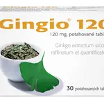 Gingio 120 mg 30 tablet