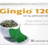 Gingio 120 mg 30 tablet