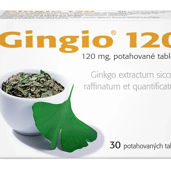 Gingio 120 mg 30 tablet