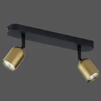 Stropné bodové svietidlo Top black/gold 3303 LS2