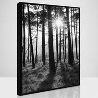 Obraz Sb 50x70 087L18.37.001