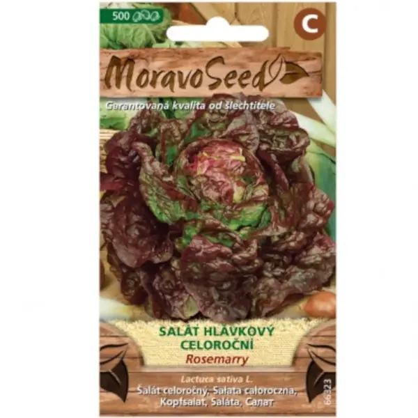 Šalát hlávkový celoročný Rosemarry, červený