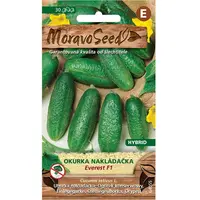 Uhorka nakladačka jemnoostná Everest F1 - hybrid