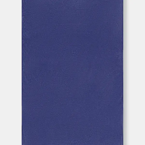 Ručník Aqua Speed 70x140 cm