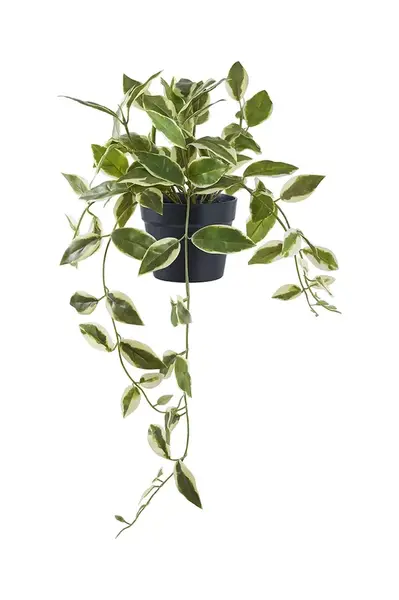 Umělá rostlina v květináči House Nordic Hoya