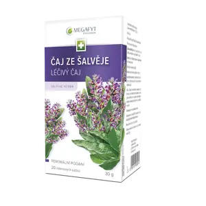 Megafyt Čaj ze šalvěje nálevové sáčky 20x1,5 g