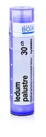 Boiron LEDUM PALUSTRE CH30 granule 4 g