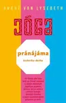Pránájáma - technika dechu - André Van Lysebeth