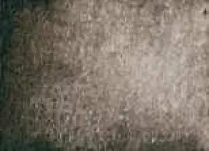 Akvarelová barva DS 15ml – 103 Sepia