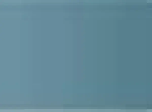 Pastel Caran d'Ache Neocolor II 005 Grey