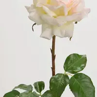 Umelý kvet home & lifestyle