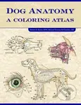 Dog Anatomy (A Coloring Atlas) - Robert Kainer, Thomas O. McCraken - kniha z kategorie Veterinární lékařství