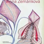 Anna Zemánková - francouzská verze - Terezie Zemánková - kniha z kategorie Malířství a sochařství