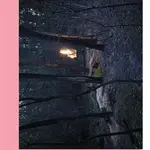 Skleněná zahrada - Tatiana Tibuleac - kniha z kategorie Společenská beletrie