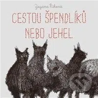 Cestou špendlíků nebo jehel - Zuzana Říhová - audiokniha z kategorie Společenská beletrie