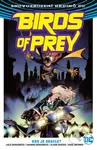 Birds of Prey 1: Kdo je Oracle? - Julie Benson, Shawna Benson, Claire Roe (Ilustrátor), Roge Antonio (Ilustrátor) - kniha z kategorie Komiksy
