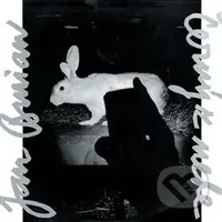 Černý z nebe - Jan Burian