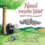Kamil neumí lítat - Jennifer Berne - kniha z kategorie Pohádky