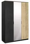 Šatníková skriňa so zrkadlom sirius - dub čierny/dub zlatý
