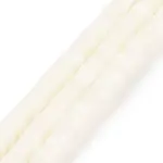 Natural Trochid Shell/Trochus Shell Beads Strands