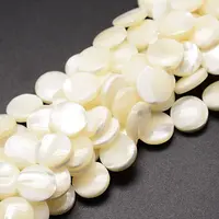 Natural Trochid Shell/Trochus Shell Beads Strands