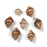 Natural Spiral Shell Pendants