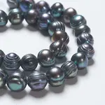 Natural Cultured Freshwater Pearl Beads Strands