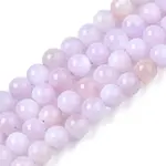 Natural Freshwater Shell Beads Strands