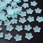 Transparent Acrylic Beads