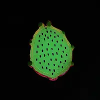 Luminous Resin Fruit Slice Display Decoration