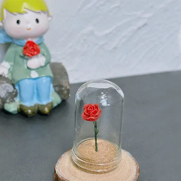 Glass Cloche Bell Jars