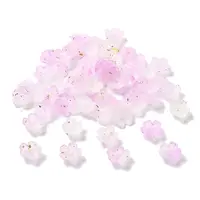 Acrylic Bead Caps