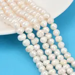 Natural Cultured Freshwater Pearl Beads Strands